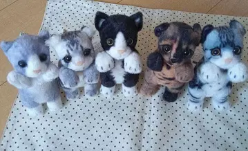 타치 ZOOmini 5세트