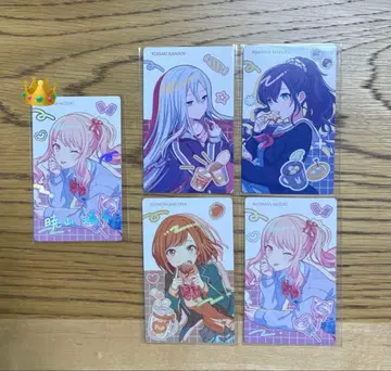 프로세카 니고 에피카 묶음 판매