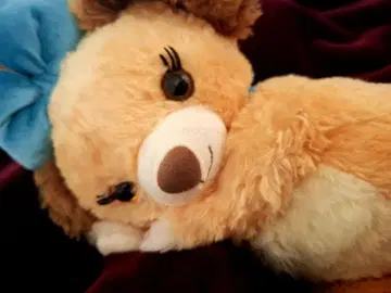 유니베어 원스 어폰 어 타임 레이디 벨라