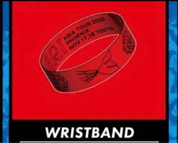 SEKAI NO OWARI phoenix 러버 밴드 도쿄 공연