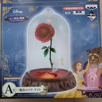 디즈니 마법의 장미 라이트