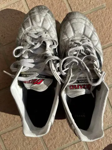 MIZUNO MORERIA 2Japan