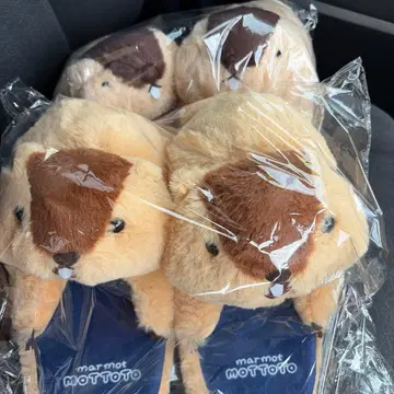 마모트의 마모토츠쿠 봉제 인형 슬리퍼 2종 세트