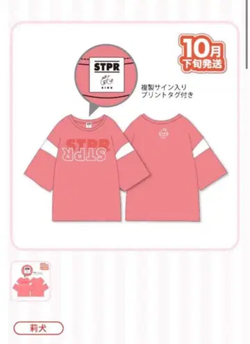 STPR 리이누군 스토푸리 반팔 티셔츠