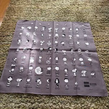 스누피 뮤지엄 반나