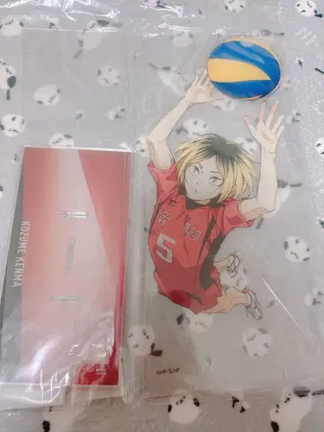 하이큐 빅 아크릴 스탠드