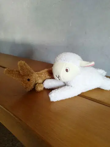 어린 왕자 봉제 인형 세트