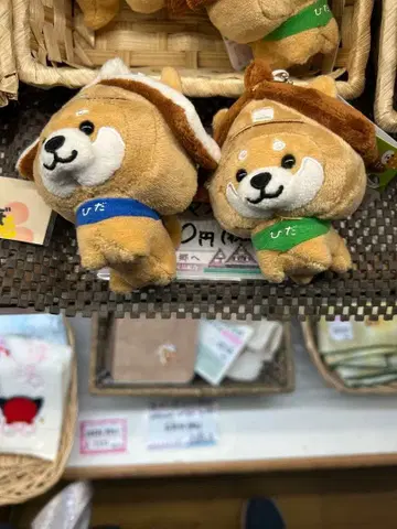 여행하는 마메시바 시라카와고 한정판 여름, 겨울 세트