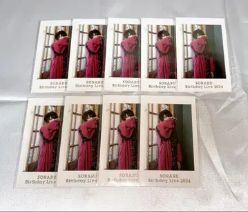 소라루 아케카구라 폴라로이드 2