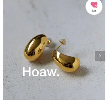 2025년 새상품급 Hoaw 하아우 드롭 귀걸이 골드 윔 가젯 실버