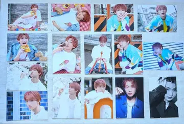 타키자와 료 49692 브로마이드 15장 + 특전 브로마이드 세트