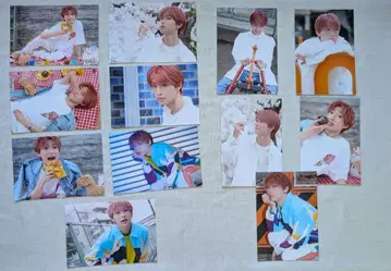 타키자와 료 49692 브로마이드 12장 + 특전 브로마이드 세트