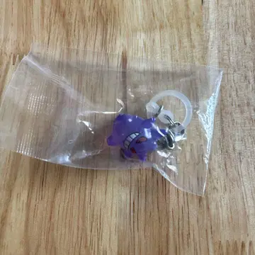 포켓몬 메지루시 액세서리 겐가