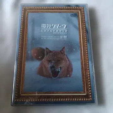[ 미개봉 ] 덴키그루브 DVD 레오나르도견 프리오