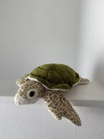 신 에노시마 수족관 바다거북 봉제 인형