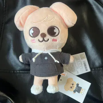 SKZOO  puppyM 승민