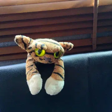 맨해튼 토이 랑키 캣