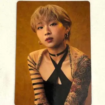 BMSG COMPLETE FILE 특전 포토 카드 트레이딩 카드 지수