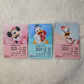 미니 실사 베리미니 디즈니 리조토라 티켓