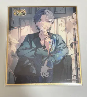 프로세카 아오야기 토야 51A 색지