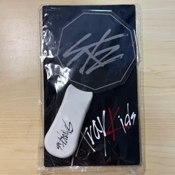 Stray Kids 판 응원봉