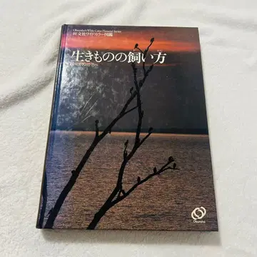 생명체 기르는 법