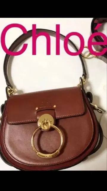 끌로에 브라운 핸드백