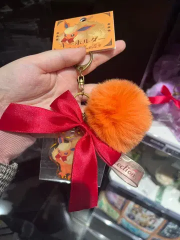 이브이 컬렉션 부스터 키링