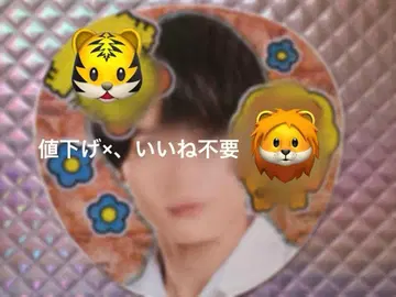 TravisJapan 마츠다 겐타 부채 데코