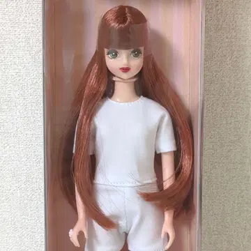 엄선 타마키 2023년 고베 산노미야 오리지널 모델 2V 리카짱 캐슬