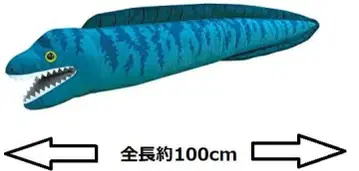 [ 새상품 ] 우츠보 봉제 인형