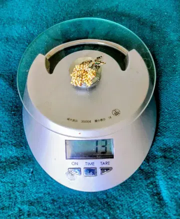 은색 비즈와 나뭇잎 모티브의 브로치