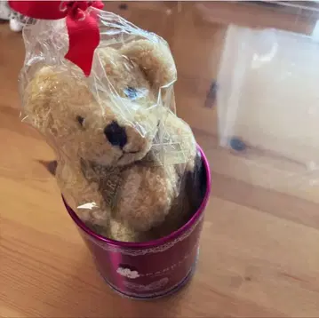 포레스트 베어스 치어 쿨톤 테디베어 봉제 인형 마스코트