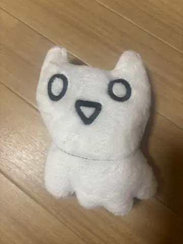 코지마 요나 코지하루 바보 고양이