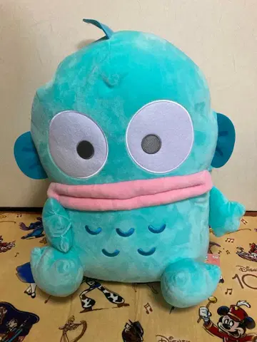 한교동 초초 BIG 봉제 인형 산리오