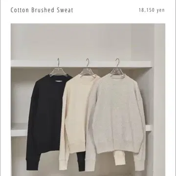 Cotton Brushed Sweat 아이보리