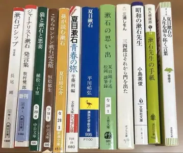 나쓰메 소세키에 관한 12권