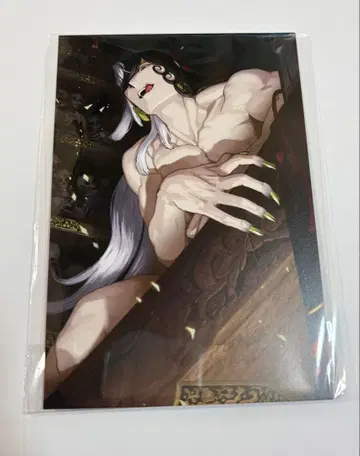 FGO 최종 재림 화집 아시야 도만 혜택 엽서