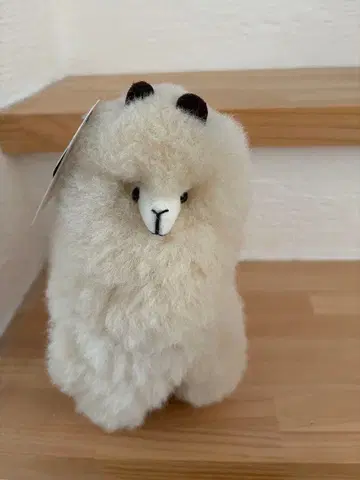 AlpacaNext 알파카 봉제 인형 크림색 약 20cm