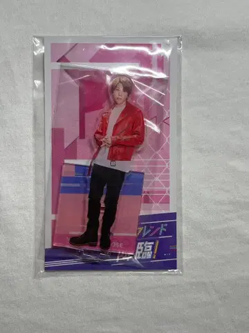 마츠자와 세이야 아크릴 스탠드 세트