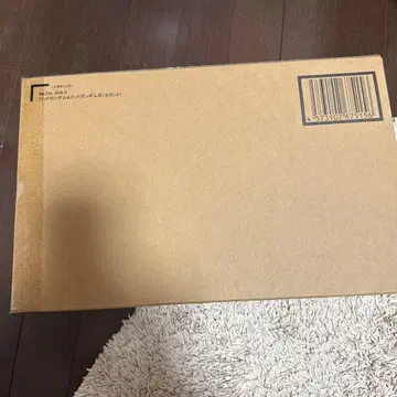 METAL BUILD 메탈빌드 갓건담 & 갓건담