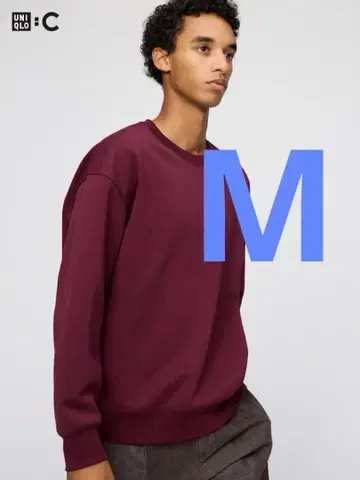 UNIQLO 유니클로C 오버 사이즈 스웨트 셔츠 남성용 상의 GU