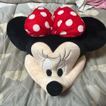 디즈니 미니 팬캡