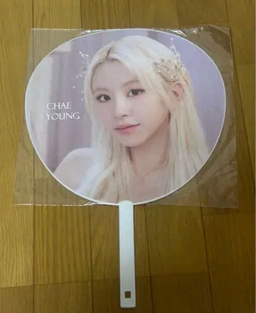 트와이스 채영 부채