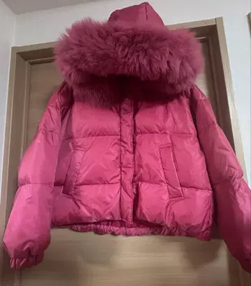 다이아그램 다운 핑크