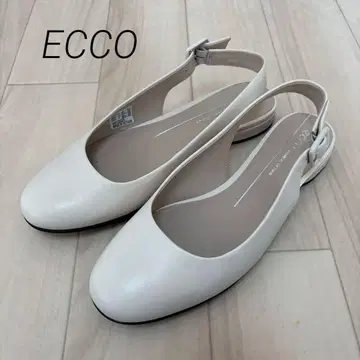 에코 아네인 라임스톤 23.5 37