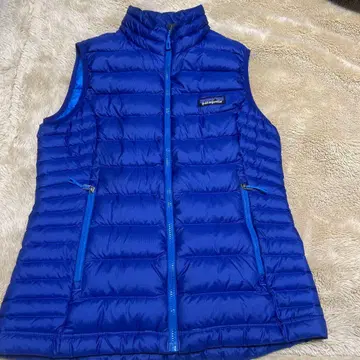 patagonia 다운 베스트 파랑