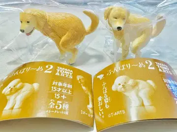 펀바리누 2 시크릿 골든 리트리버