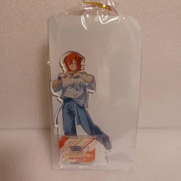 홀로스타즈 빅 아크릴 스탠드 하나사키 미야비 GIGO 한정판