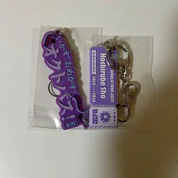 니지산지 호시미치 쇼 러버 스트랩 명언 히로시마 공연